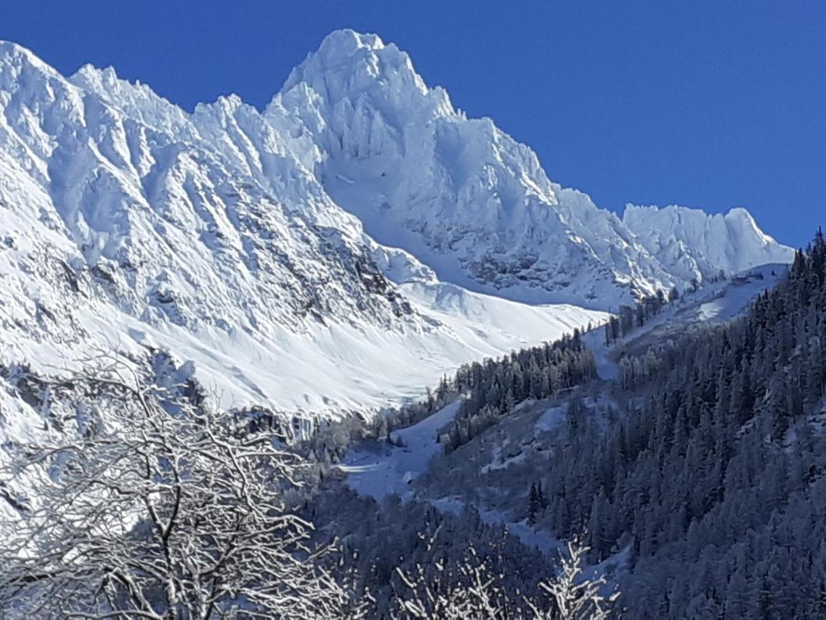 Chalets Pyrene Mont-Blanc シャモニー エクステリア 写真